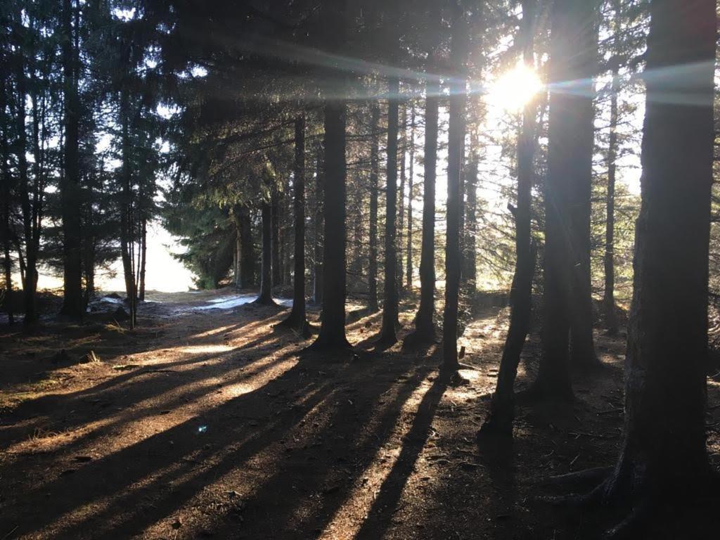 Apartmany Forest Kovářská Extérieur photo